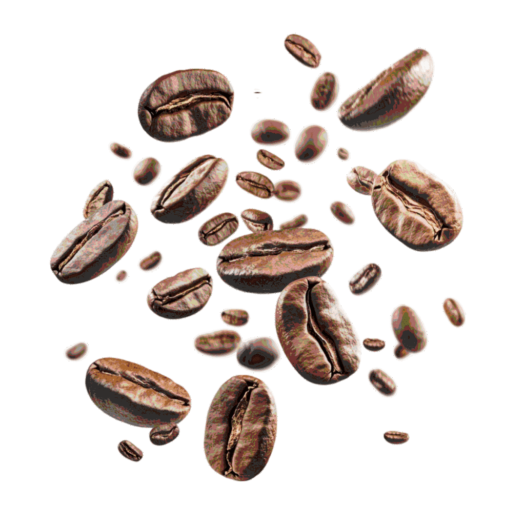 coffitalia granos cafe opt 2