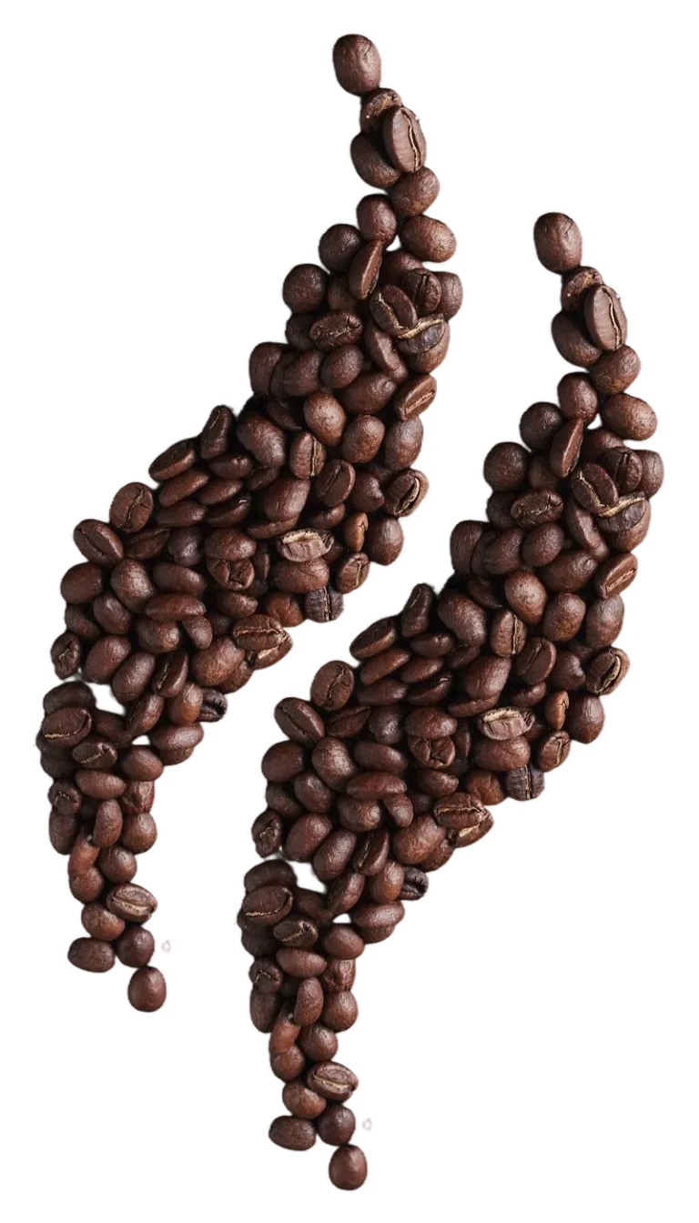 coffitalia home 1 b3 home coffitalia lineas cafe