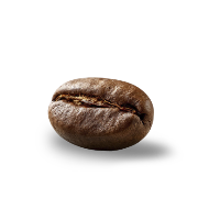 coffitalia home grano cafe